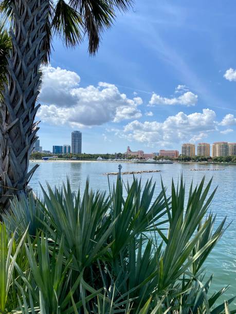 istock St. Petersburg Florida 1406971023