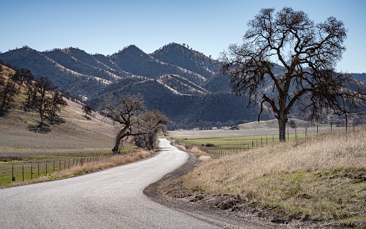 Winding country road in California's Inner North Coast Range.