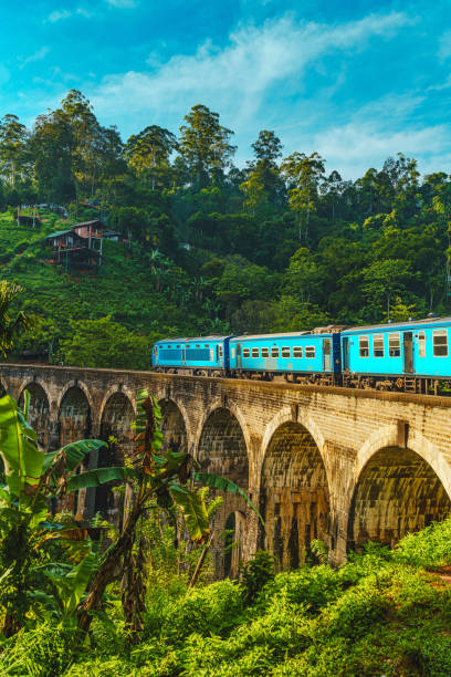 ナインアーチ橋を渡る列車 - sri lanka ストックフォトと画像