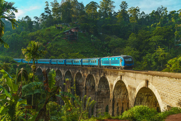 zug über die neun-bogen-brücke - sri lanka fotos stock-fotos und bilder