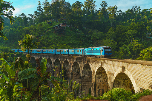 Iconic train passing over Nine Arch Bridge in Demodara, Ella, Sri Lanka