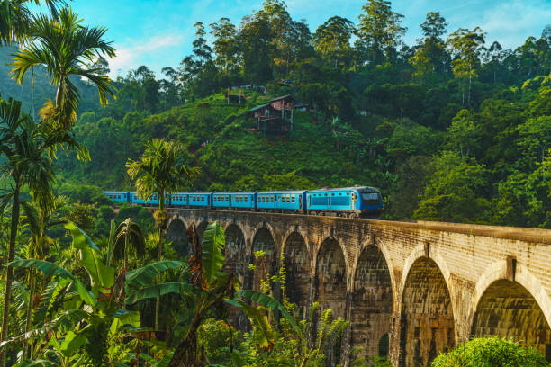 Train passing over Nine Arch Bridge Iconic train passing over Nine Arch Bridge in Demodara, Ella, Sri Lanka sri lanka stock pictures, royalty-free photos & images