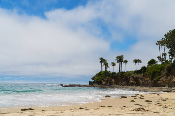 istock The Laguna Beach Cove 1406974646