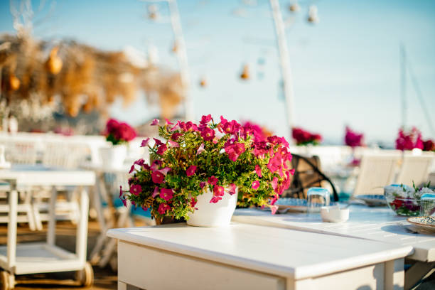 Fish Restaurants on the Beach