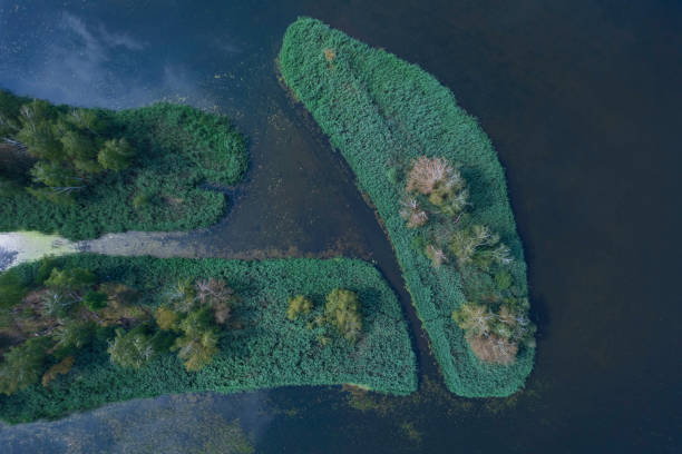istock landscape with a beautiful lake (aerial) 1406976478