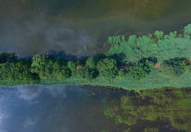 istock landscape with a beautiful lake (aerial) 1406976491