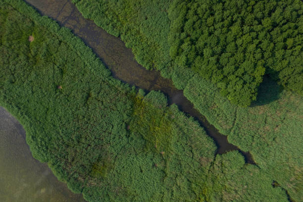 istock landscape with a beautiful lake (aerial) 1406976512