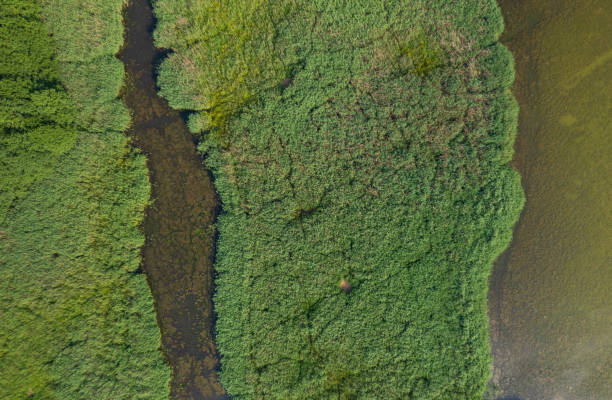 istock landscape with a beautiful lake (aerial) 1406976560