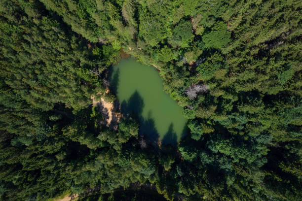 istock small lake in the mountain forest (aerial) 1406977045