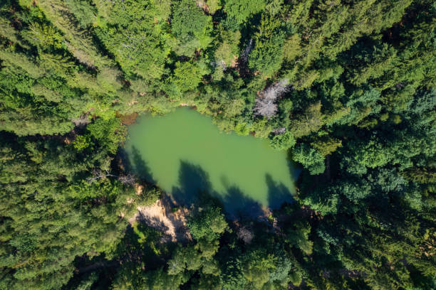 istock small lake in the mountain forest (aerial) 1406977086