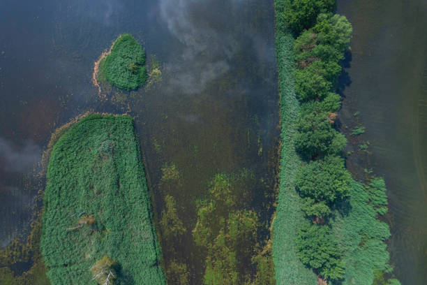 istock landscape with a beautiful lake (aerial) 1406978659