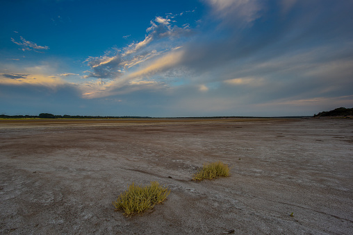 Saltpeter on the floor of a lagoon in a semi desert environment, La Pampa province, Patagonia, Argentina.