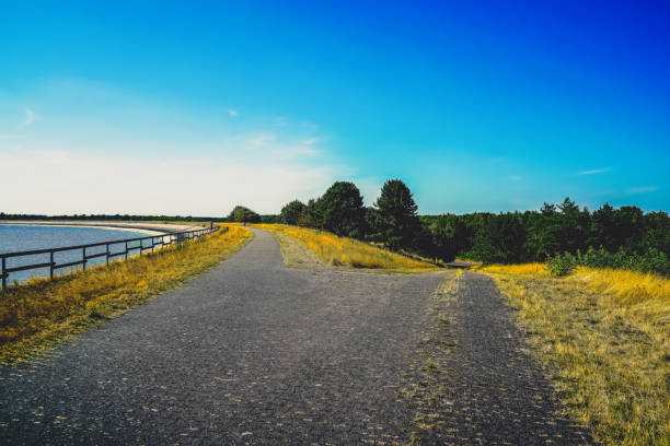 a path next to a water reservoir and a dry field. - germany reservoir water tree imagens e fotografias de stock