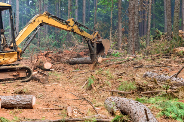 istock Work is performed on a tractor manipulator which lifts logs in forests 1406982901