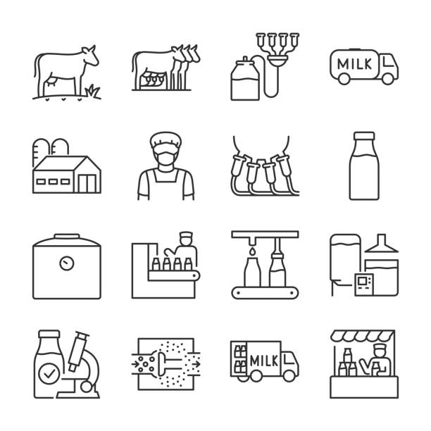 milch, milchpflanze symbole gesetzt. milchproduktionsstufen von der ernte bis zum verkauf, lineare icon-sammlung. linie mit bearbeitbarem strich - milk industry milk bottle factory stock-grafiken, -clipart, -cartoons und -symbole