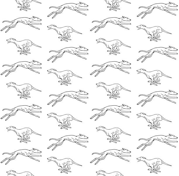 140+ Drawing Of Whippet Dogs Illustrations, Royalty-Free Vector ...