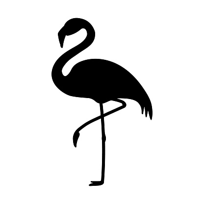 Vector flat flamingo silhouette isolated on white background