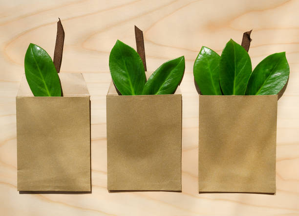 istock Eco friendly packaging, paper recycling, zero waste, natural products concept. 1406989458