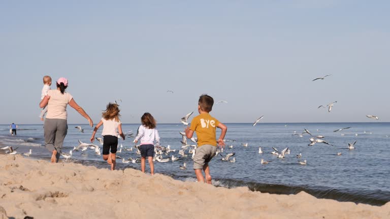 Mother with children walking along the water's edge on Baltic sea beach watching seagulls flying over the water