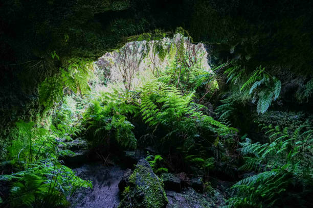 interior of the frei Matias cave, lava cone, island of Pico, archipelago of the Azores. stock photo