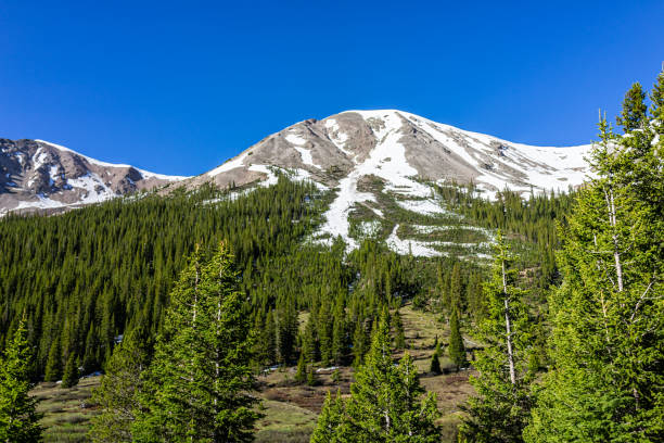 istock Snow capped mountains view and coniferous pine trees forest on Independence Pass in rocky mountains near Aspen, Colorado in early summer landscape view with nobody and blue sky 1406996368
