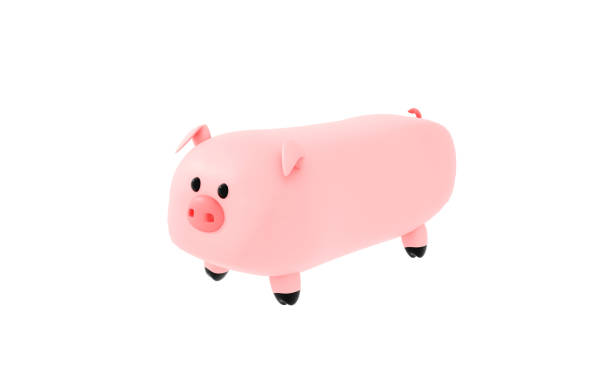 toy chicken for dogs isolated on white background