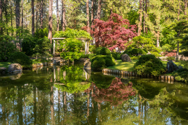 Visitors enjoy Manito Park and Botanical Gardens in Spokane, WA stock photo