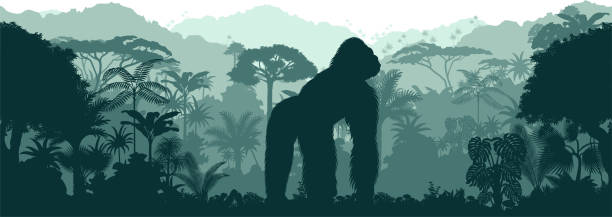 vektor horizontal nahtloser tropischer regenwald dschungel hintergrund mit männlichem gorilla - silberrucken gorilla stock-grafiken, -clipart, -cartoons und -symbole