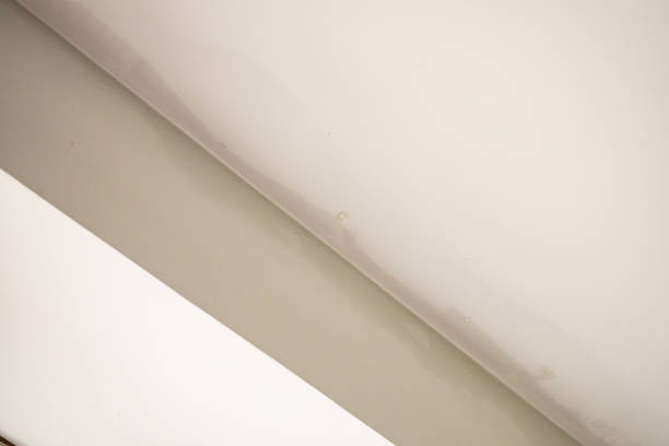 istock Rain water leak damaged ceiling close up 1407007167