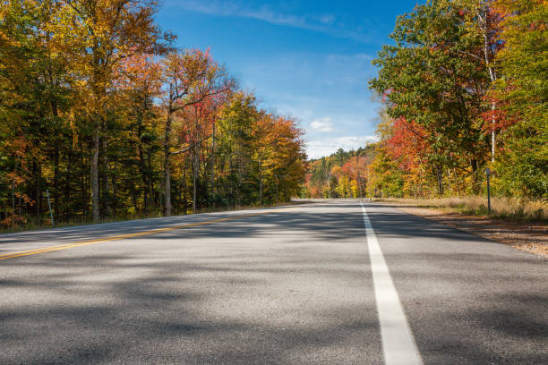 istock Empty road between trees in autumn, New Hampshire 1407008170