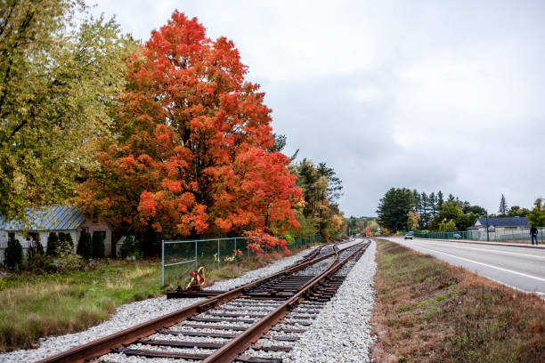 istock Empty road between trees in autumn, New Hampshire 1407008198
