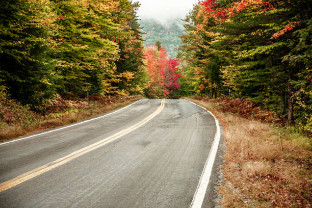 istock Empty road between trees in autumn, New Hampshire 1407008221