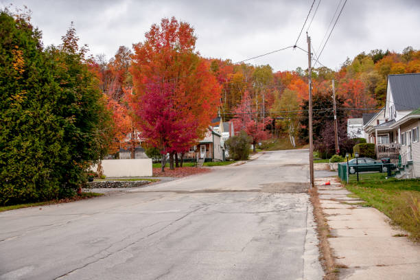 istock Empty road between trees in autumn, New Hampshire 1407008234
