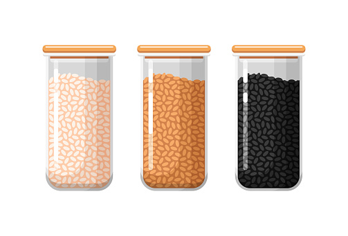 Kitchen food storage containers with white, brown and black rice. Closed transparent jars for dry bulk products. Set of vector isolated illustrations