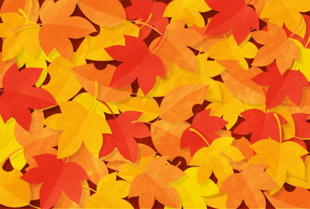 vector background with colorful autumn leaves for banners, cards, flyers, social media wallpapers, etc. vector background with colorful autumn leaves for banners, cards, flyers, social media wallpapers, etc. 遠足 stock illustrations