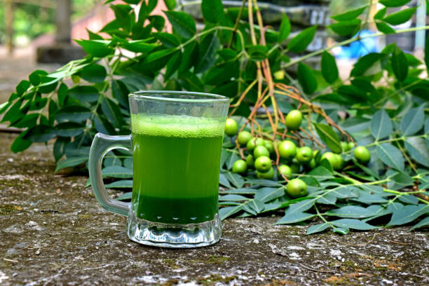 neem heilkräutersaft im glasbecher. neemblätter, früchte auf abstraktem hintergrund. ayurvedischer rohstoff. neem flüssige ayurveda-medizin. - azadirachta indica stock-fotos und bilder