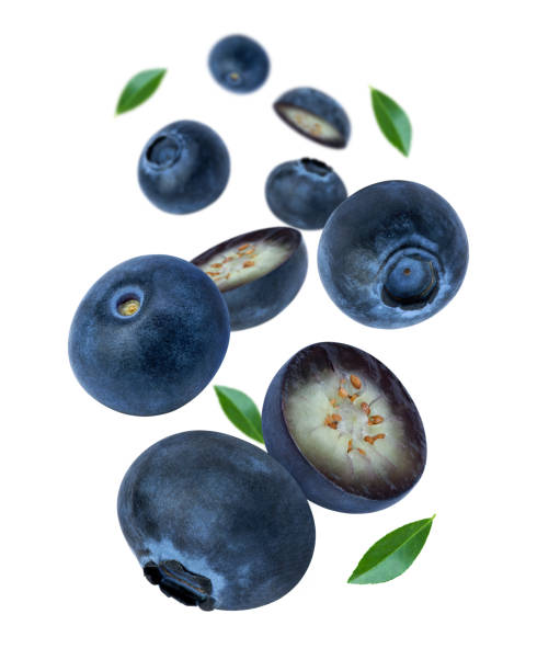istock Fresh blueberry flying in the air isolated on white background 1407026679