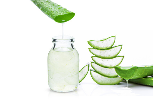 Aloe vera essential oil and aloe gel dripping isolated on white background