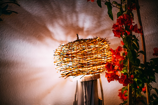 Table Lamp with Flower Vase