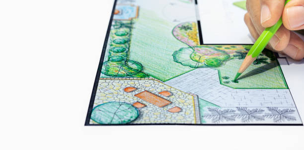 istock Landscape architect student learning design backyard  pool and garden plan 1407040487