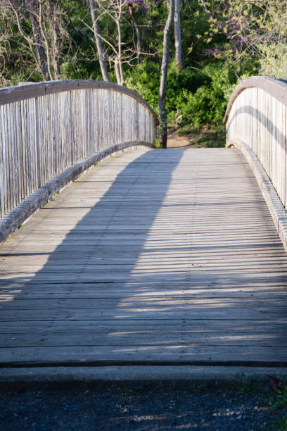 istock Wooden bridge closeup 1407041724