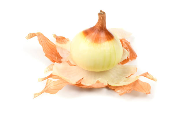 istock Yellow onion bulbs  on white background. 1407043719