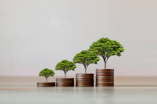 istock Showing financial developments and business growth with a growing tree on a coin. 1407044154
