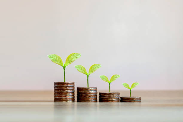 istock Showing financial developments and business growth with a growing tree on a coin. 1407044171