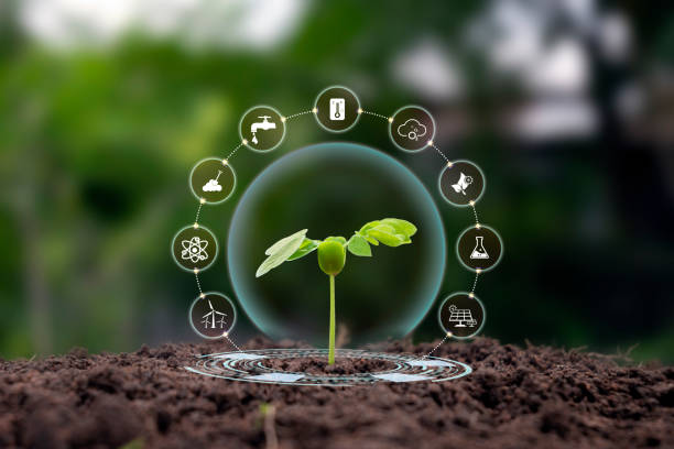istock Tree growing on soil with plant growth factor icon eco concept earth day card protect the environment 1407045276