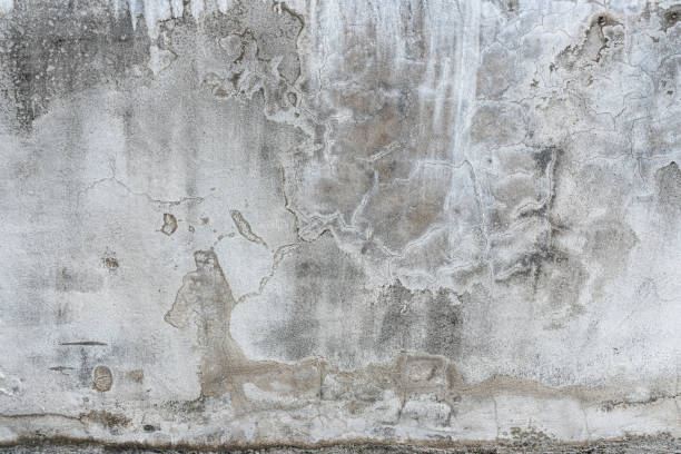 istock Closeup texture abstract of old and crack wall background, floor cement with algae. Copy sapce for text 1407046249