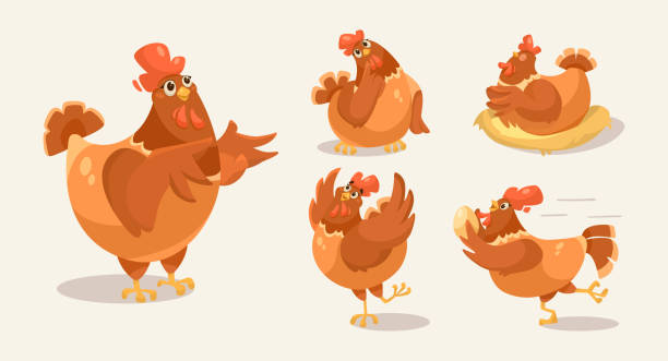 ilustrações, clipart, desenhos animados e ícones de bonito happy hen desenho animado personagem vetor ilustrações definido - chicken eggs animal egg cartoon