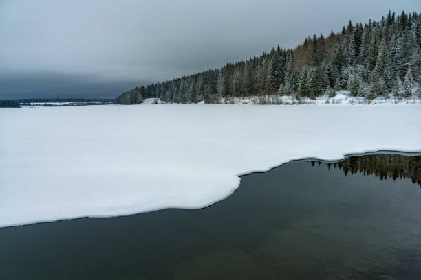 istock Winter forest landscape with a freezing river. Russia, Ural. Polynya with even edges 1407047683