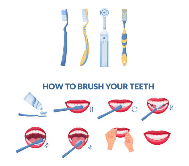 как чистить зубы пошаговая инструкция. правильная чистка зубов зубной щеткой и зубной пастой. - brushing teeth stock illustrations