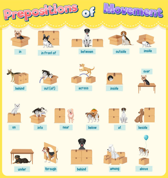 Preposition Cartoons Illustrations, Royalty-Free Vector Graphics & Clip Art - iStock Preposition Cartoons Illustrations, Royalty-Free Vector Graphics & Clip Art - iStock